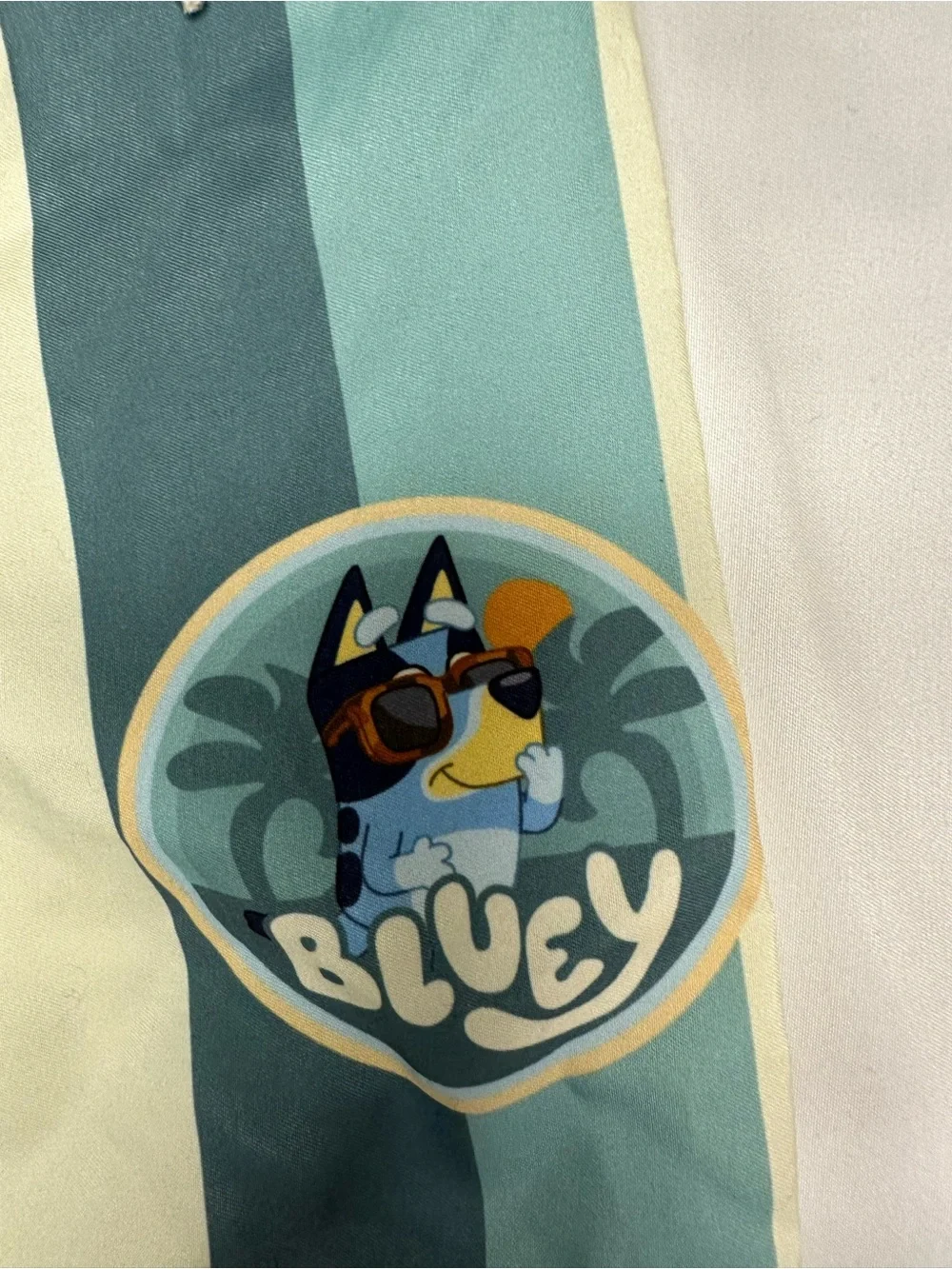 Bluey Boys Striped Swim Trunks Size 3T NWT